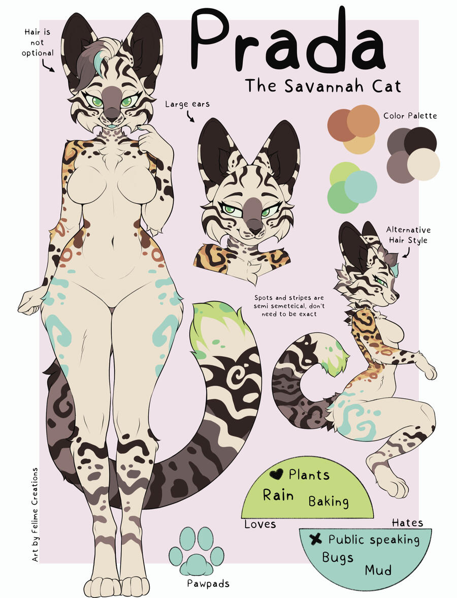 Advanced Ref with Headshot